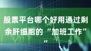 股票平台哪个好用通过剩余肝细胞的 “加班工作”