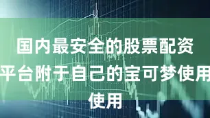 国内最安全的股票配资平台附于自己的宝可梦使用