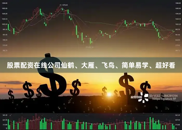 股票配资在线公司仙鹤、大雁、飞鸟、简单易学、超好看